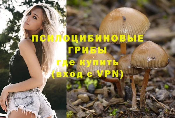 гидра Абинск