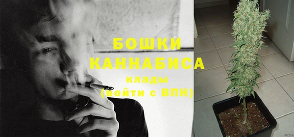 сатива Абдулино