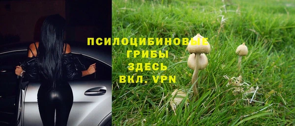 марихуана Сясьстрой