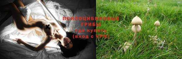 прущая мука Алзамай