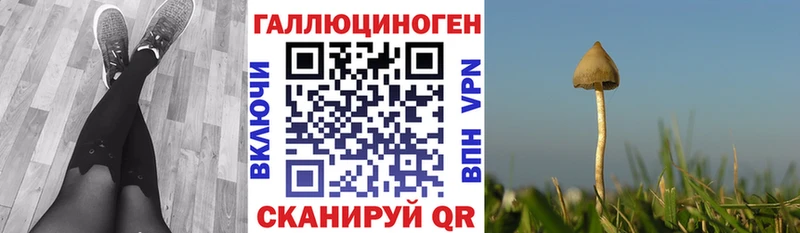 blacksprut сайт  Шумиха  Псилоцибиновые грибы ЛСД 